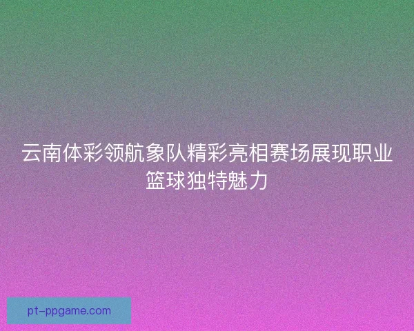 云南体彩领航象队精彩亮相赛场展现职业篮球独特魅力